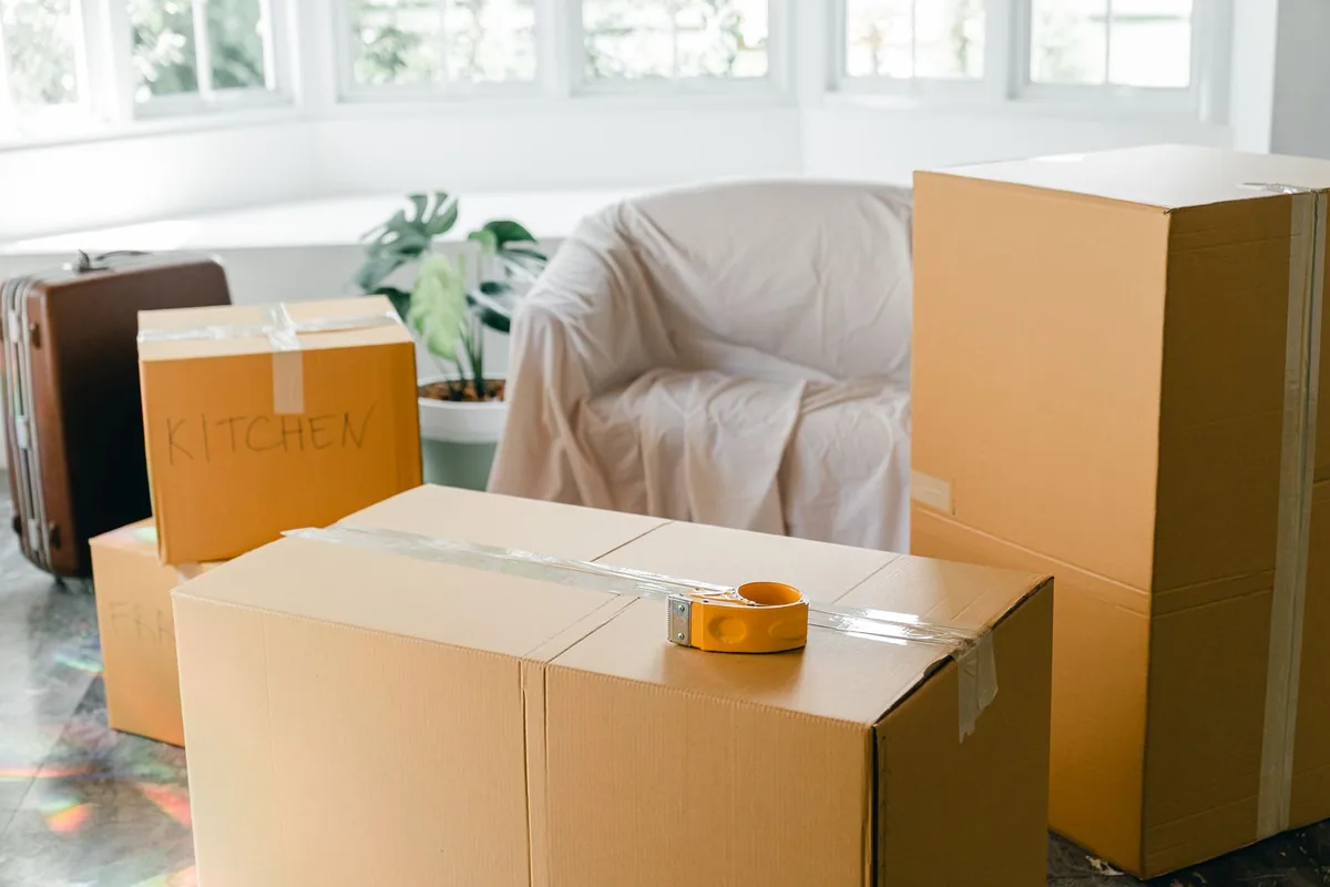 Hoarding Cleanup in Rapid City, MI